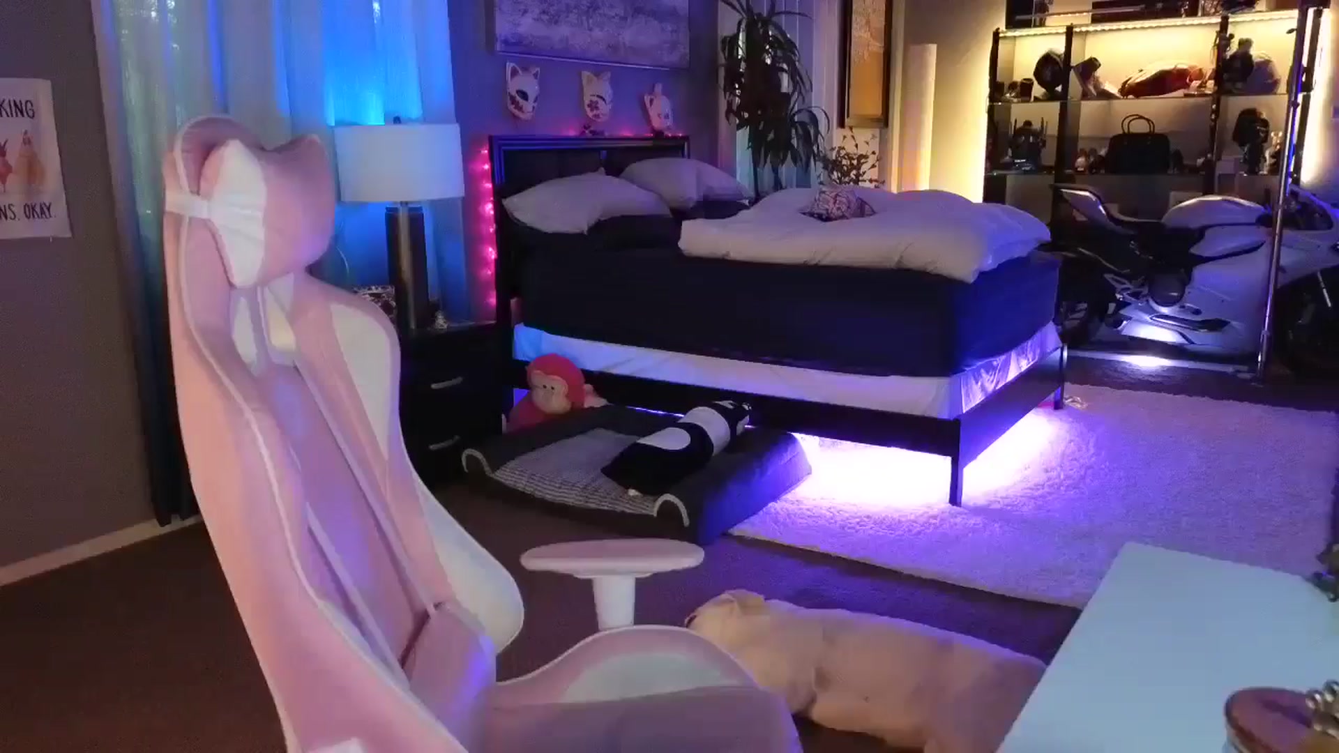 LexxiStar video thumbnail