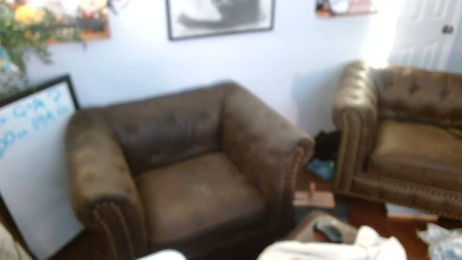 BunnyNextDoor video thumbnail