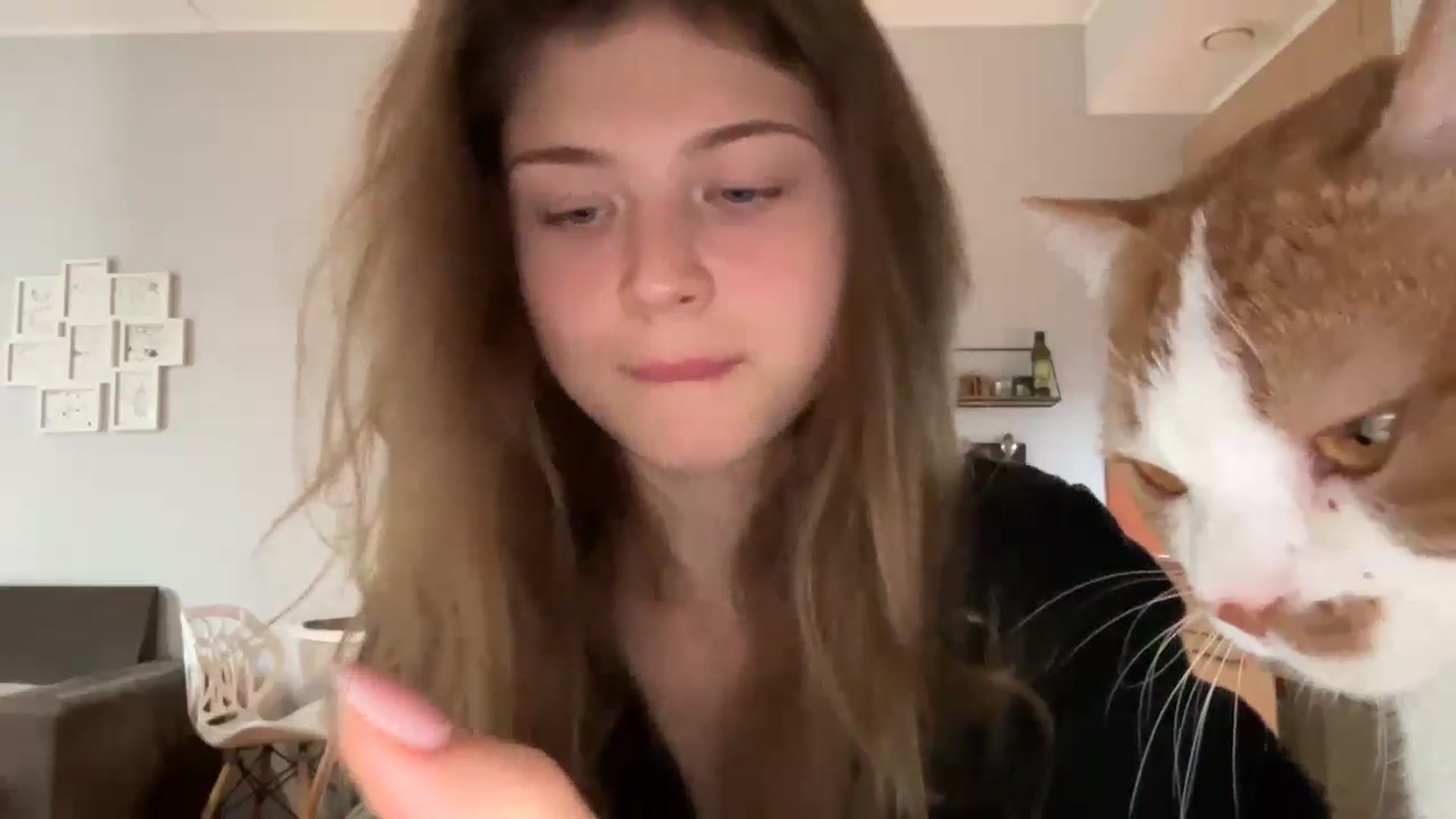 Coconut_dream video thumbnail
