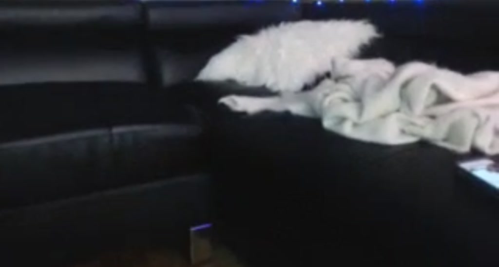 MaryWana_ video thumbnail