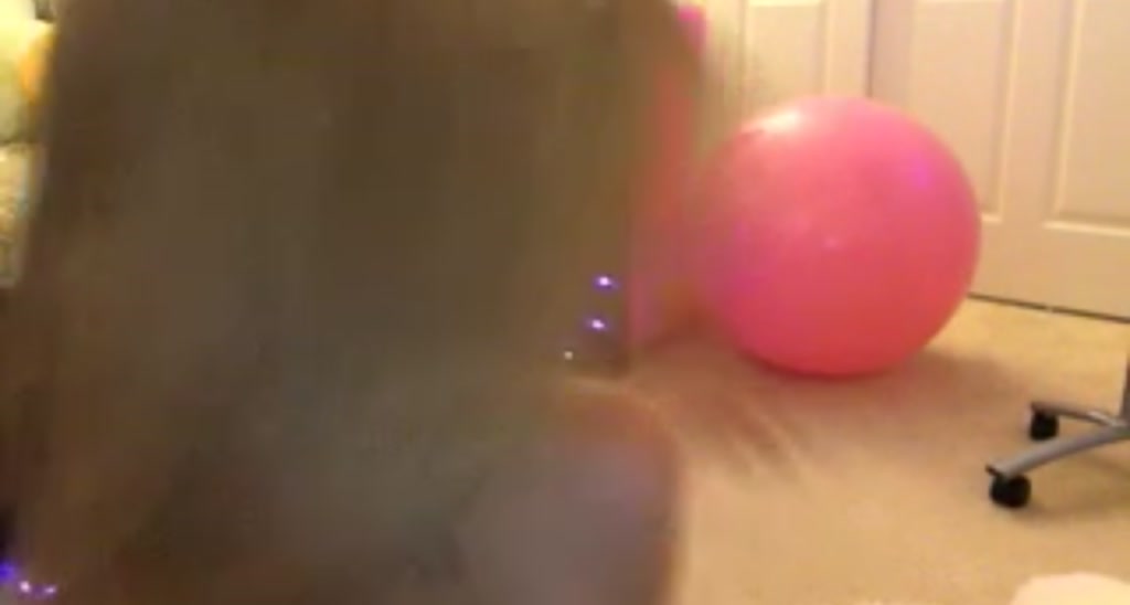 BritneyRose video thumbnail
