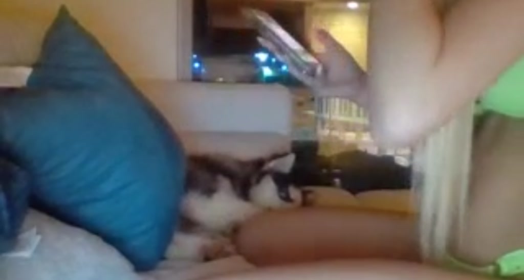 Elainaaxoxo video thumbnail