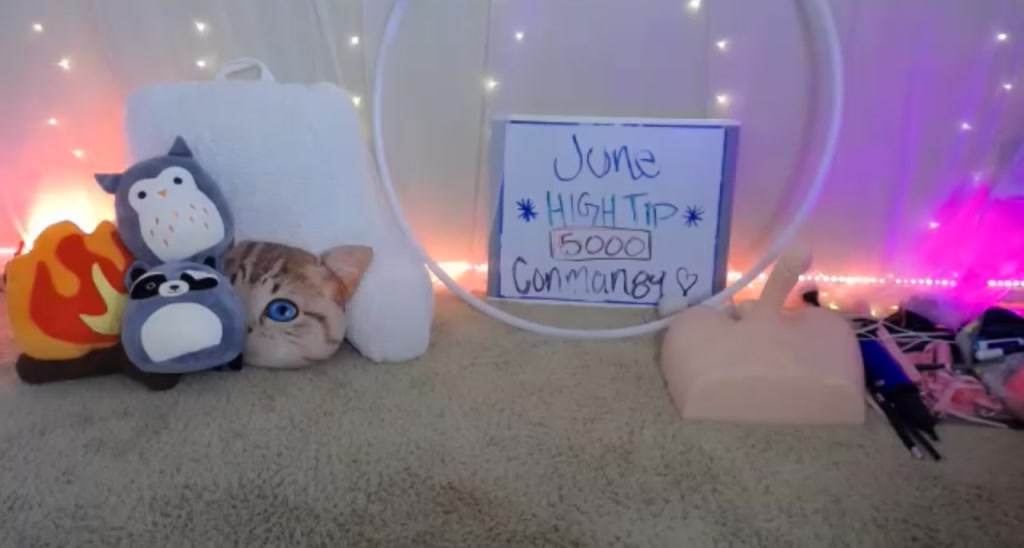 ZillyKitty video thumbnail