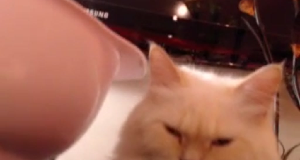 Brina_ video thumbnail