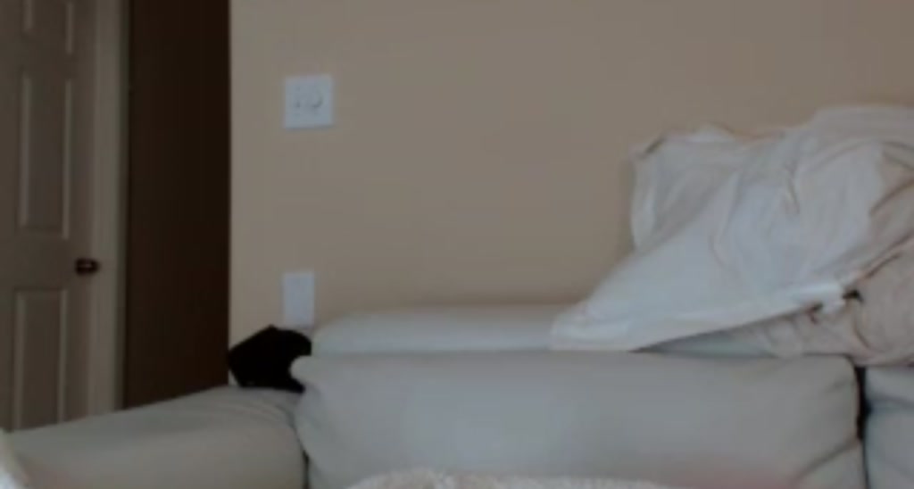 PumpkinSpice_ video thumbnail