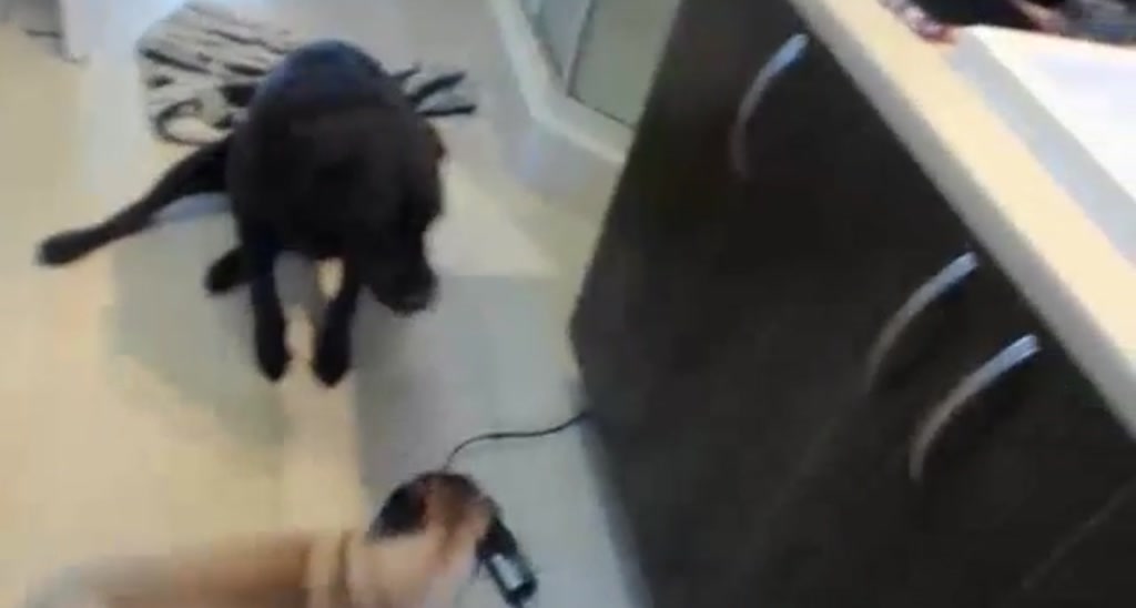 SexyIsabella video thumbnail