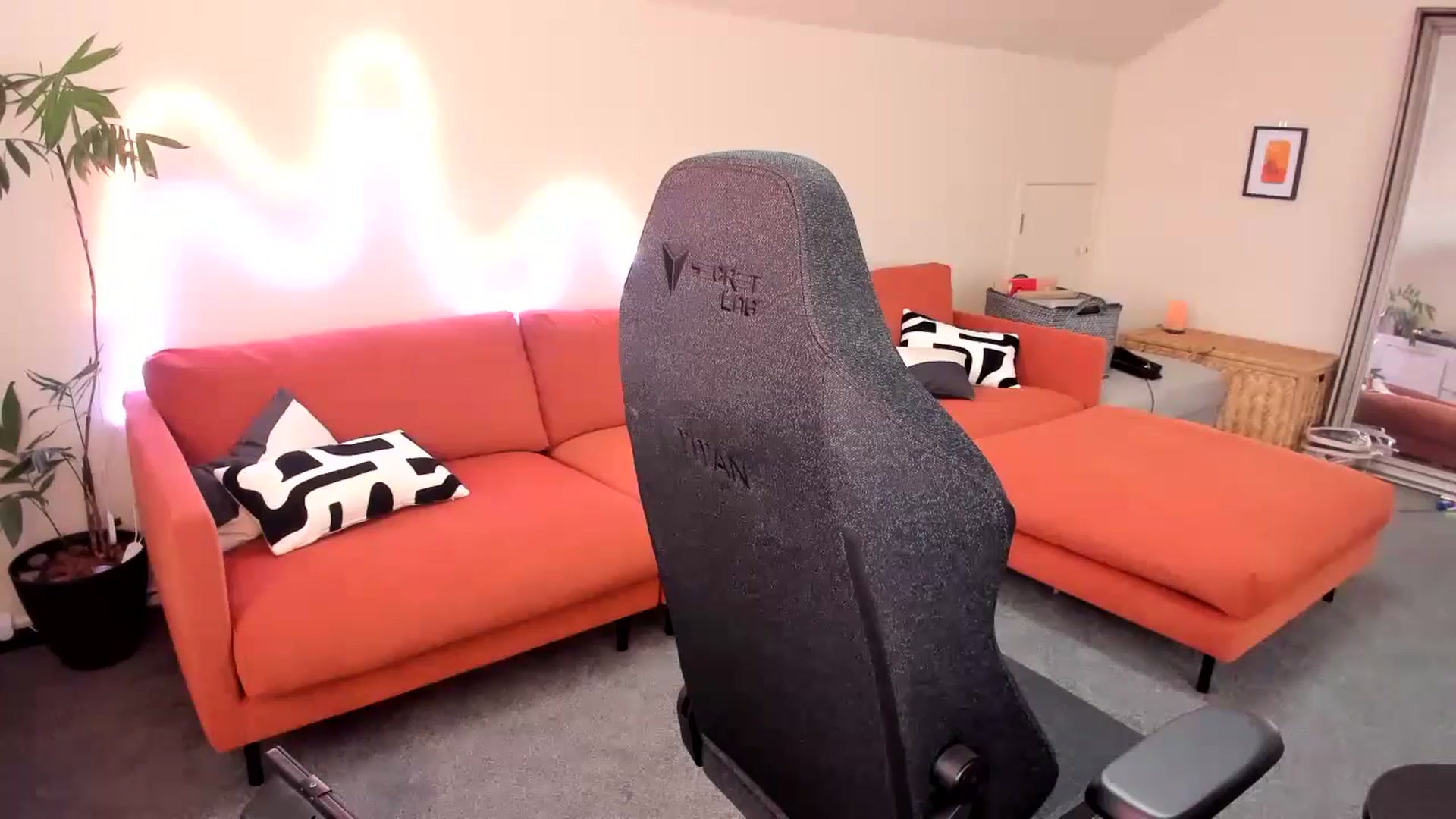 Alice_NZ video thumbnail