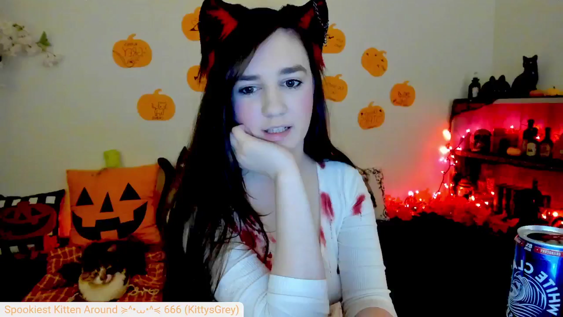 Kitty video thumbnail