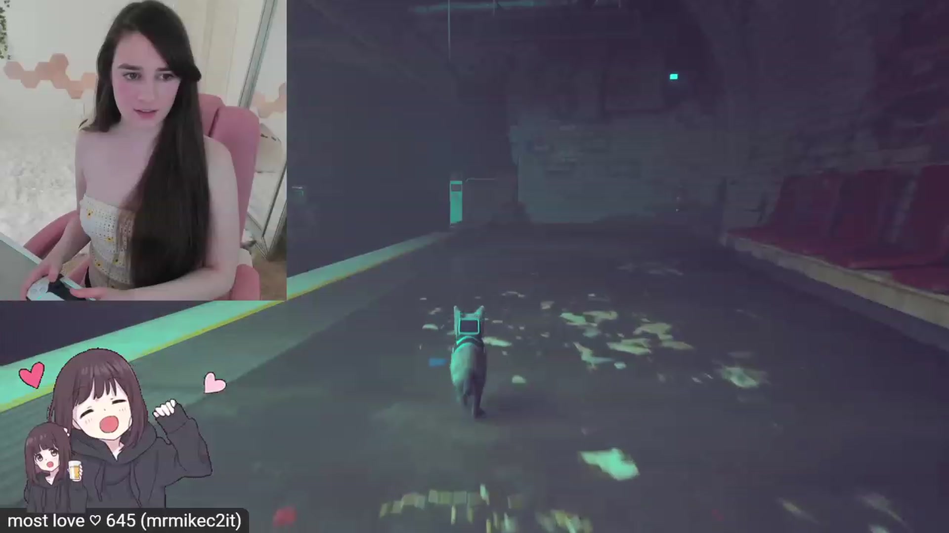 Kitty video thumbnail