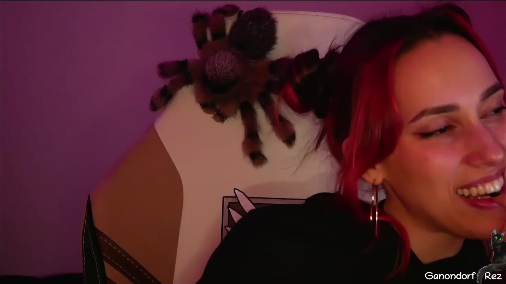 Dashy video thumbnail