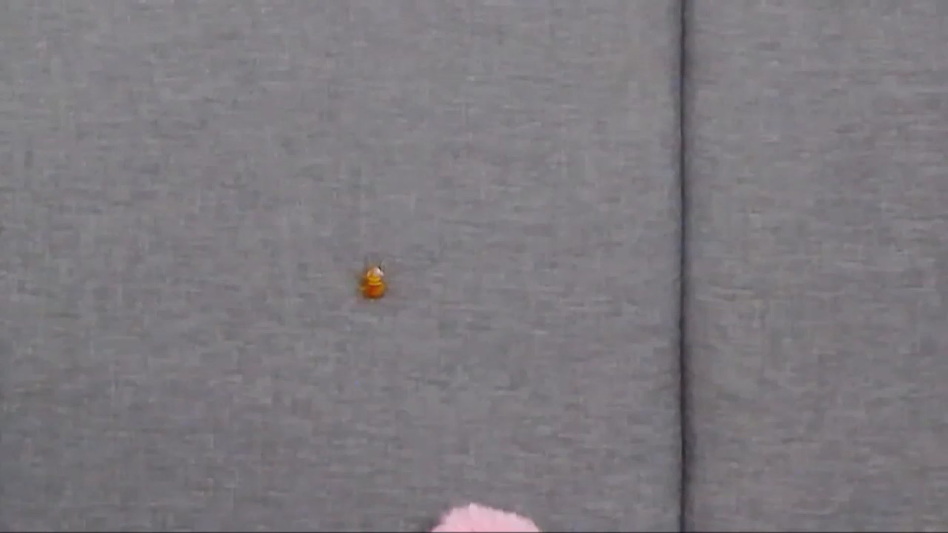 SparklingN video thumbnail