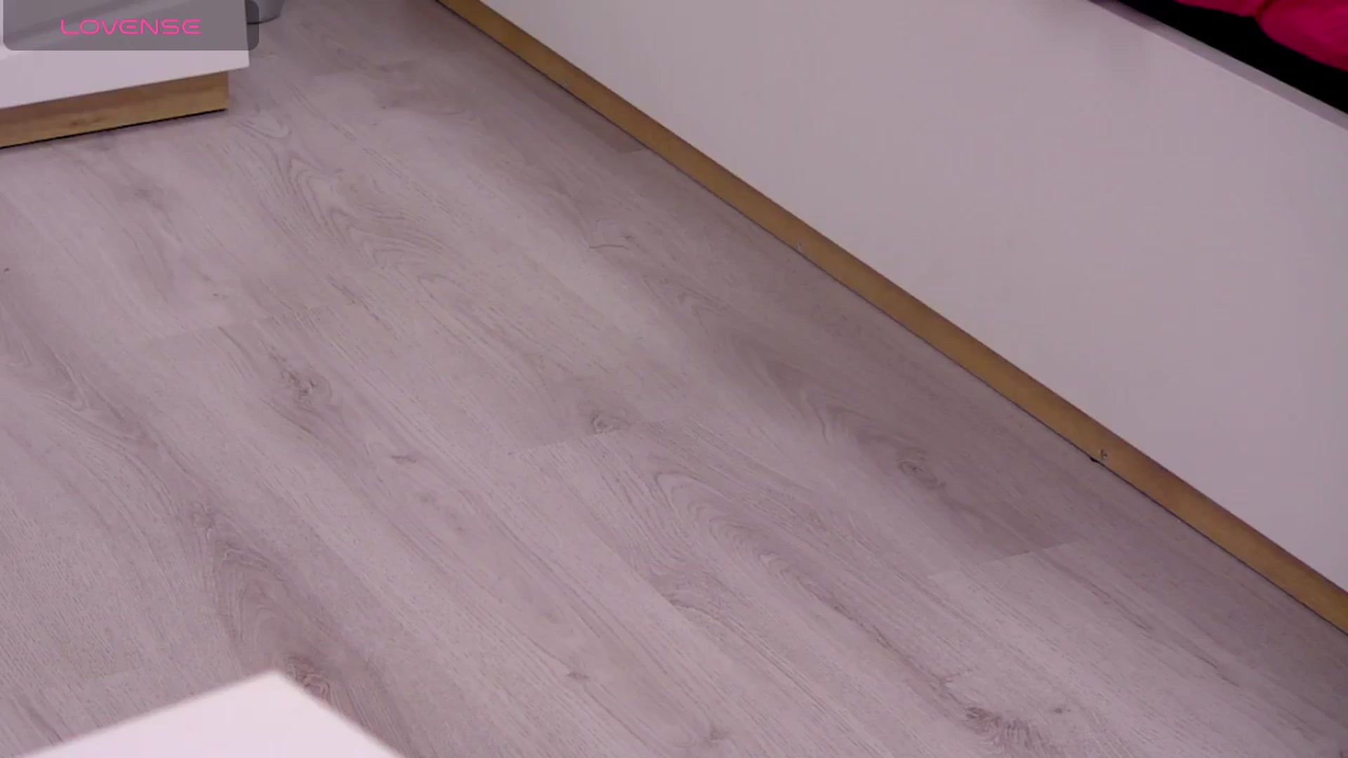 Squirrel_MFC video thumbnail