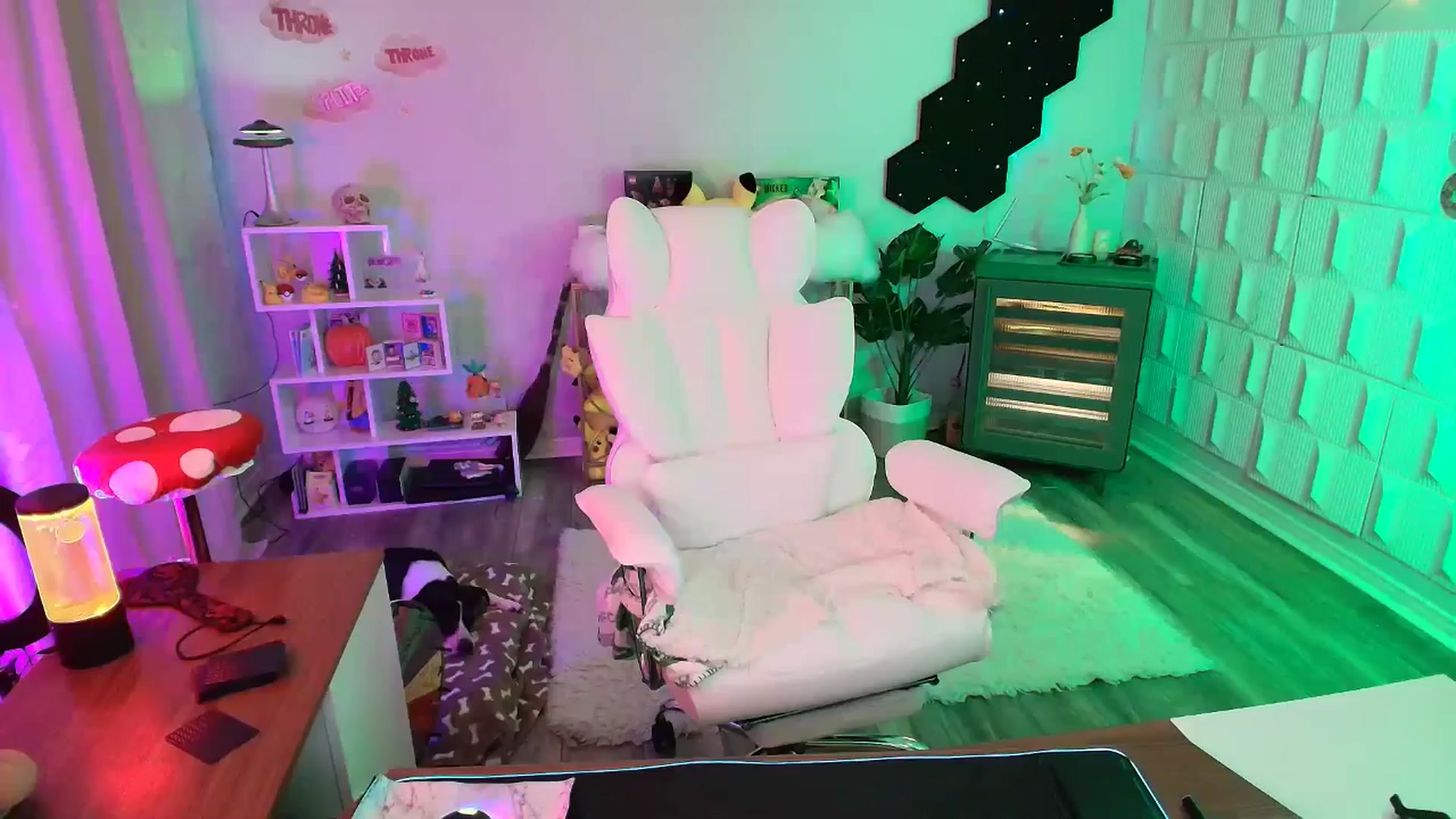 kaydolll video thumbnail