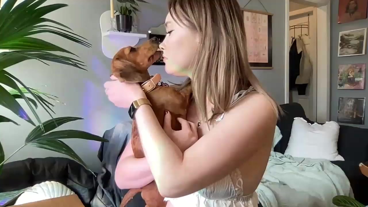 petal_ video thumbnail