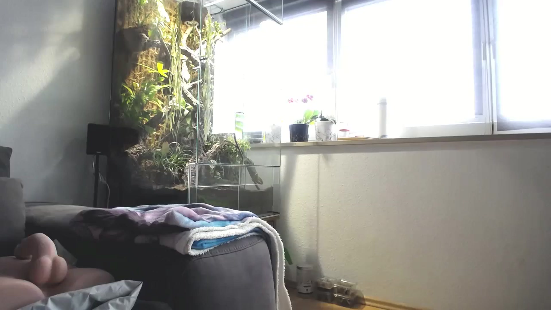 MiaMaxxx video thumbnail