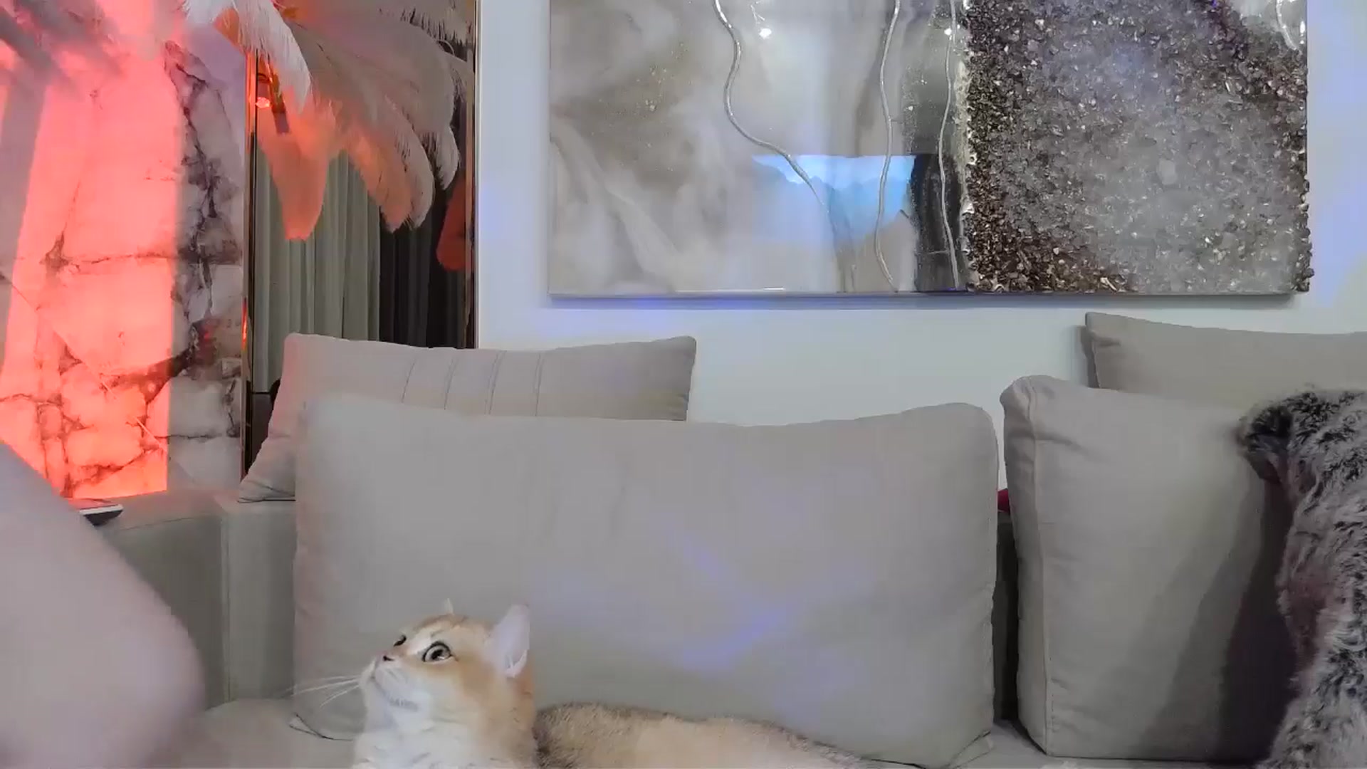 UGLYGIRL_ video thumbnail