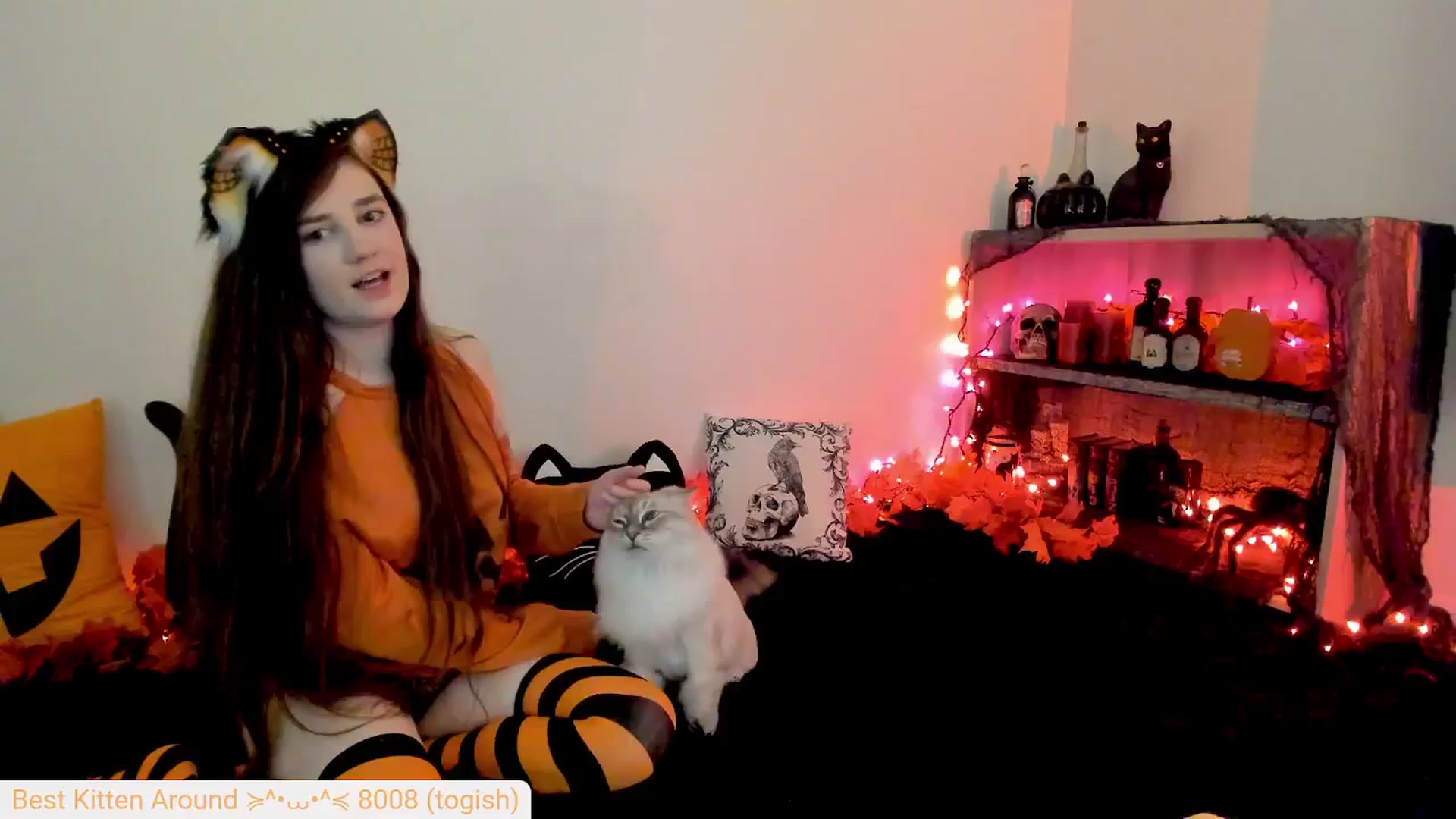 Kitty video thumbnail