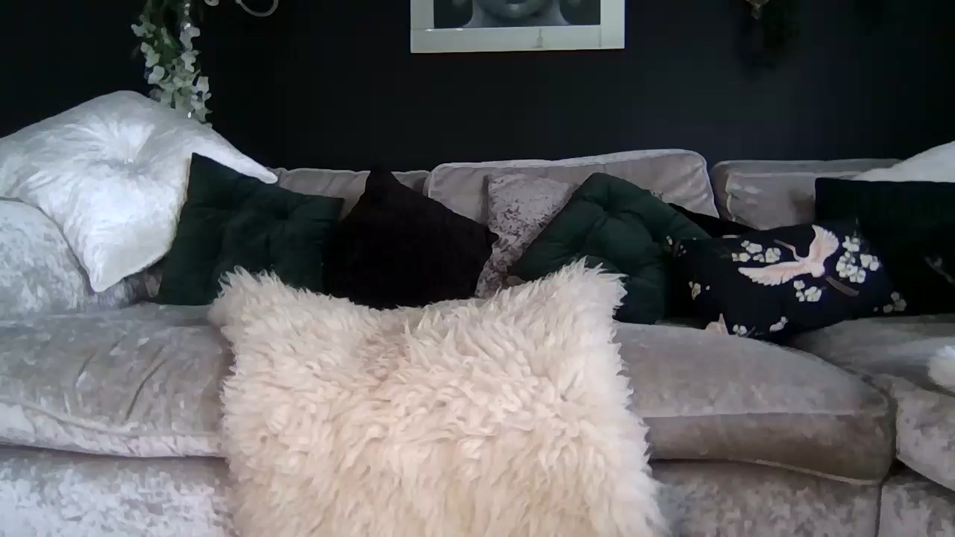 Puurrfection video thumbnail