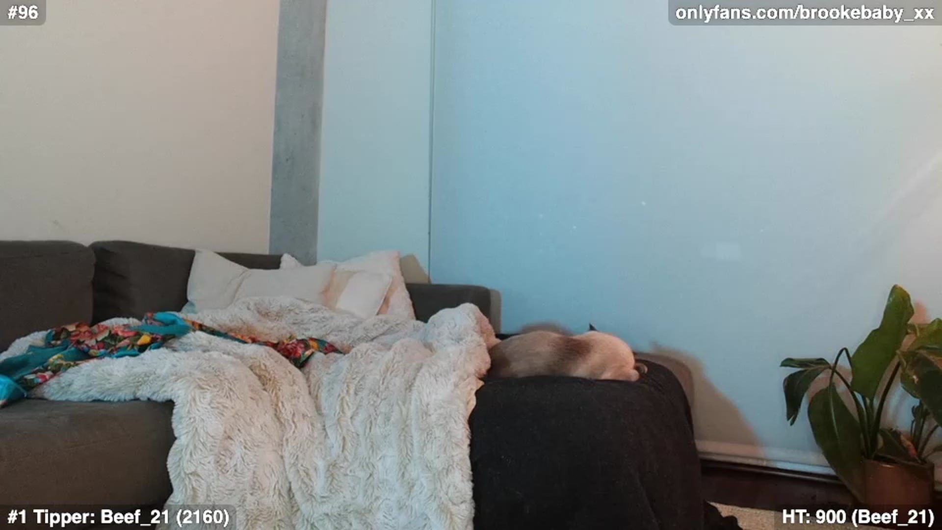 Brookebaby_ video thumbnail