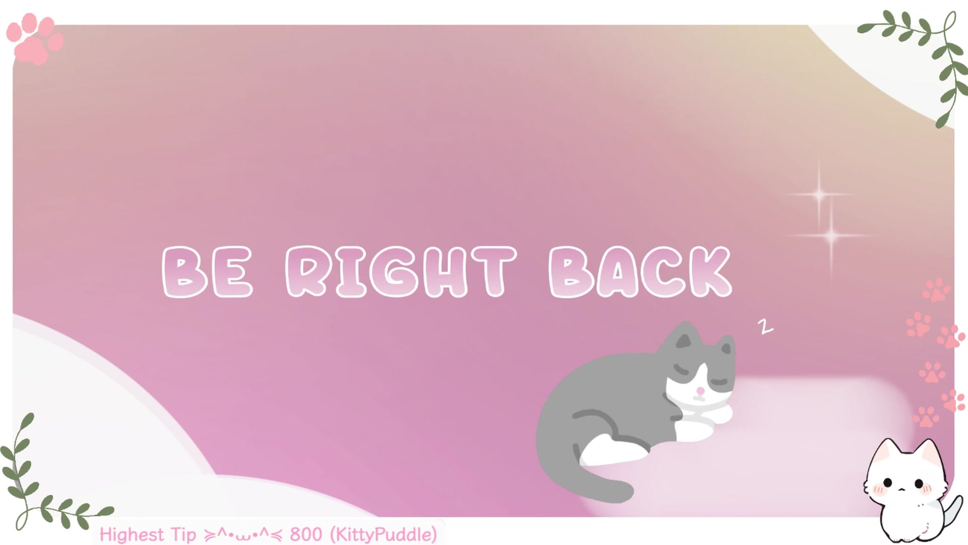 Kittenyx video thumbnail