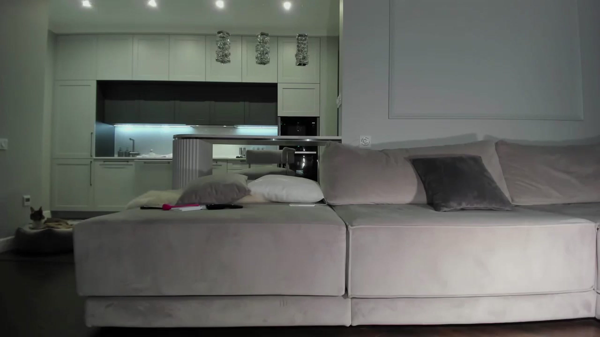 Smart_Cat video thumbnail