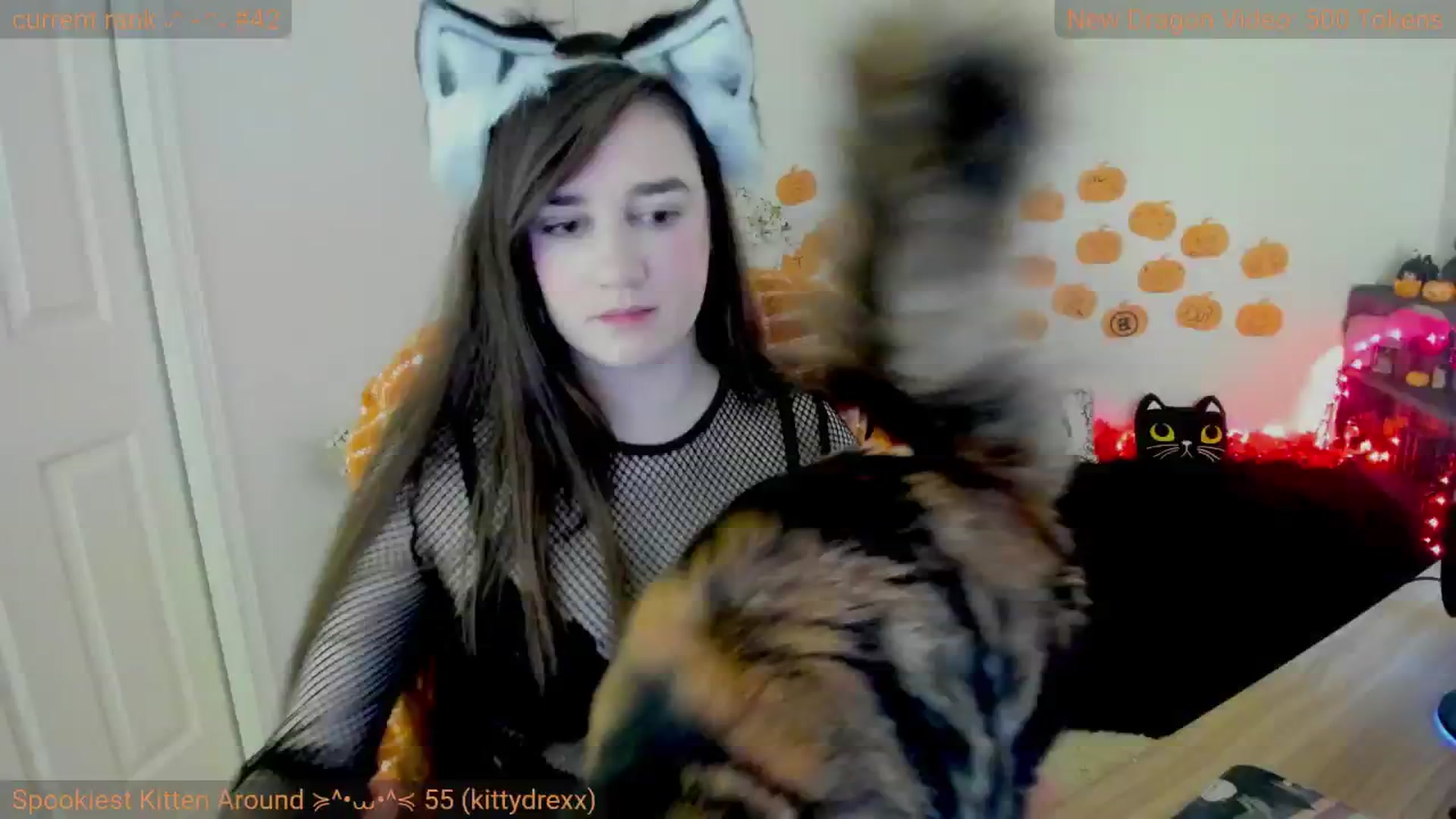 Kitty video thumbnail