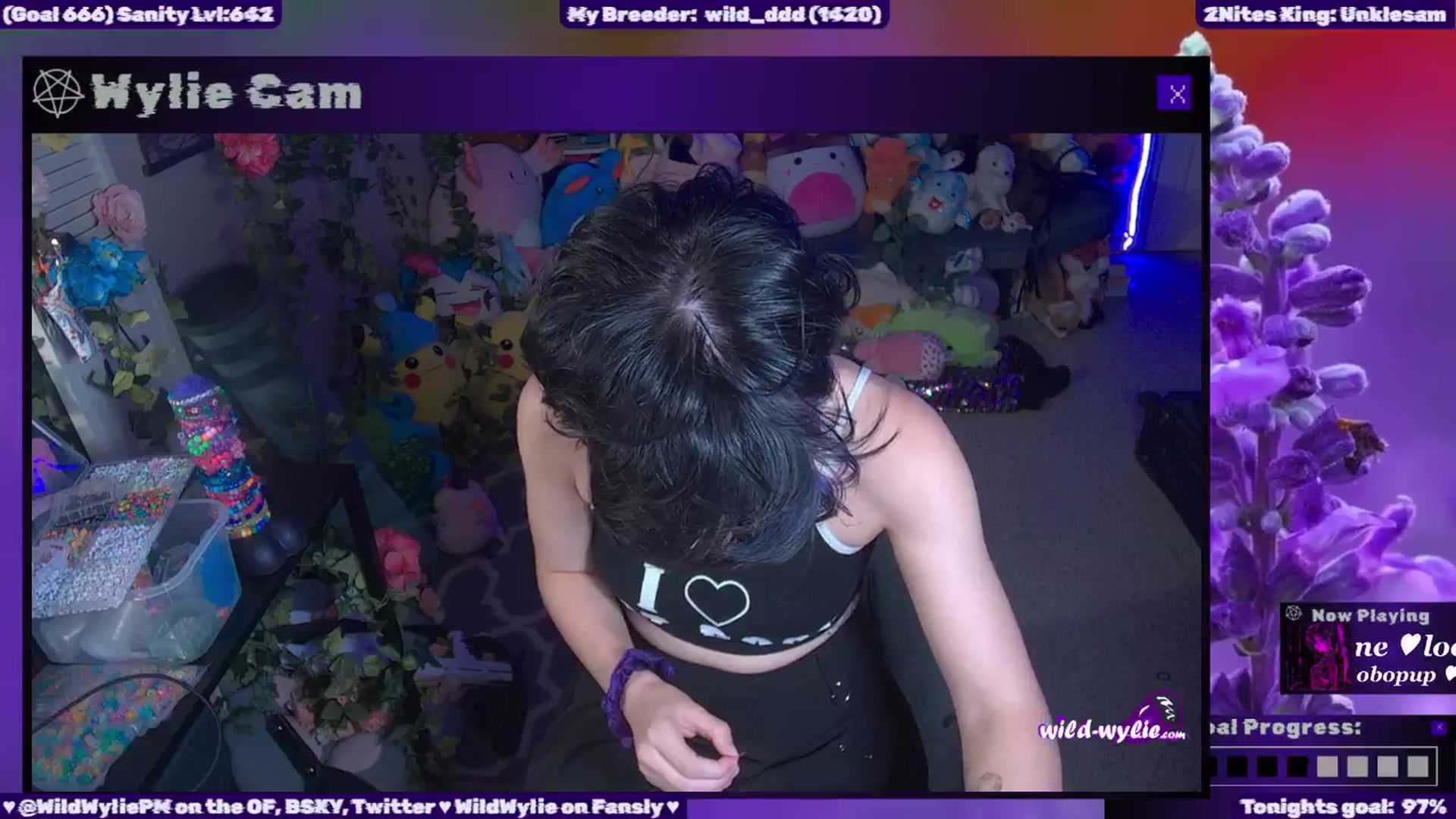 WildWyliePM video thumbnail