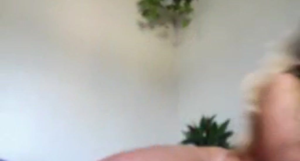 AnaFoxx video thumbnail