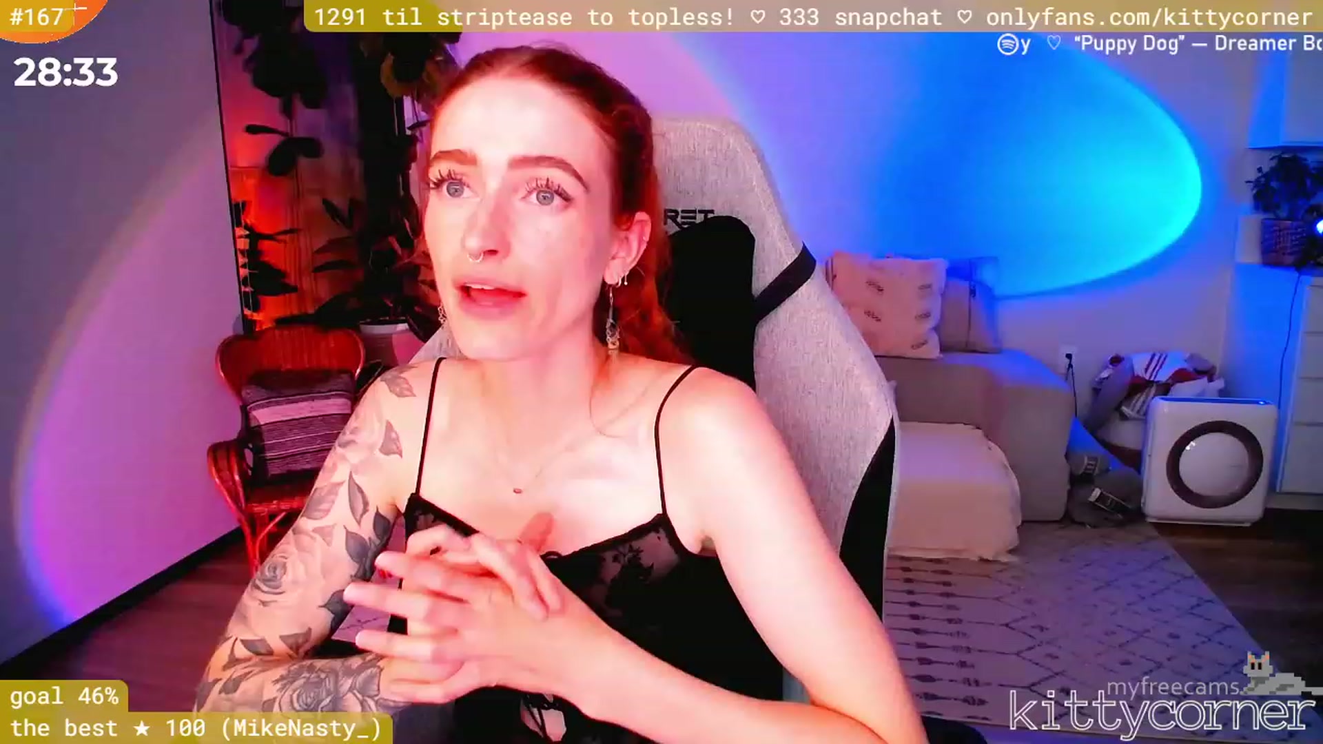 KittyCorner video thumbnail