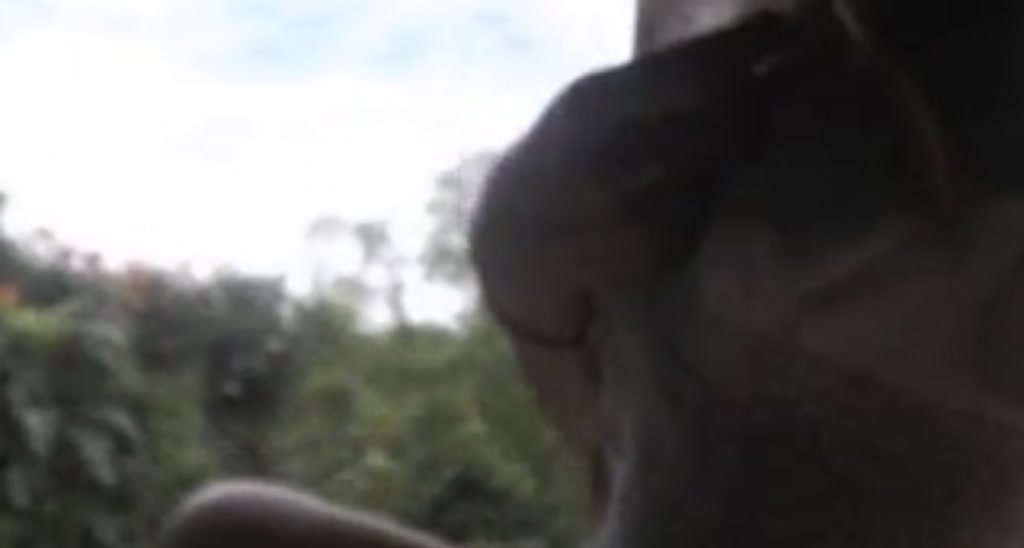Boob_Sweat video thumbnail