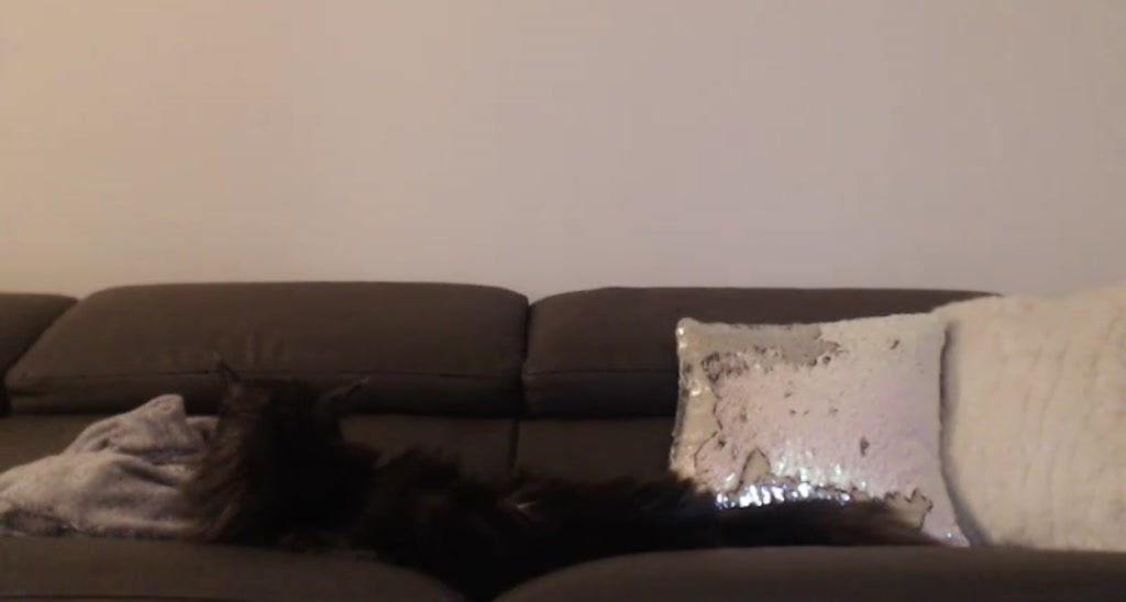 Katie video thumbnail