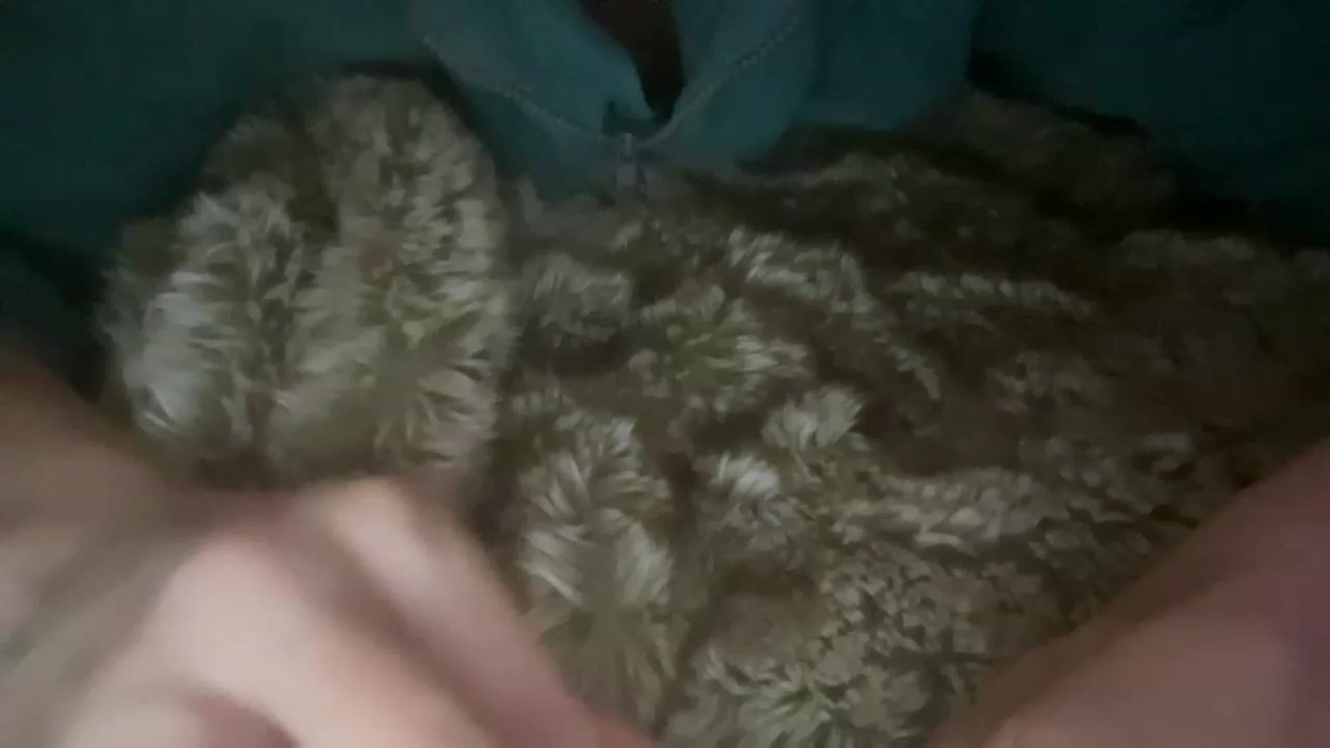 laalalalaa video thumbnail