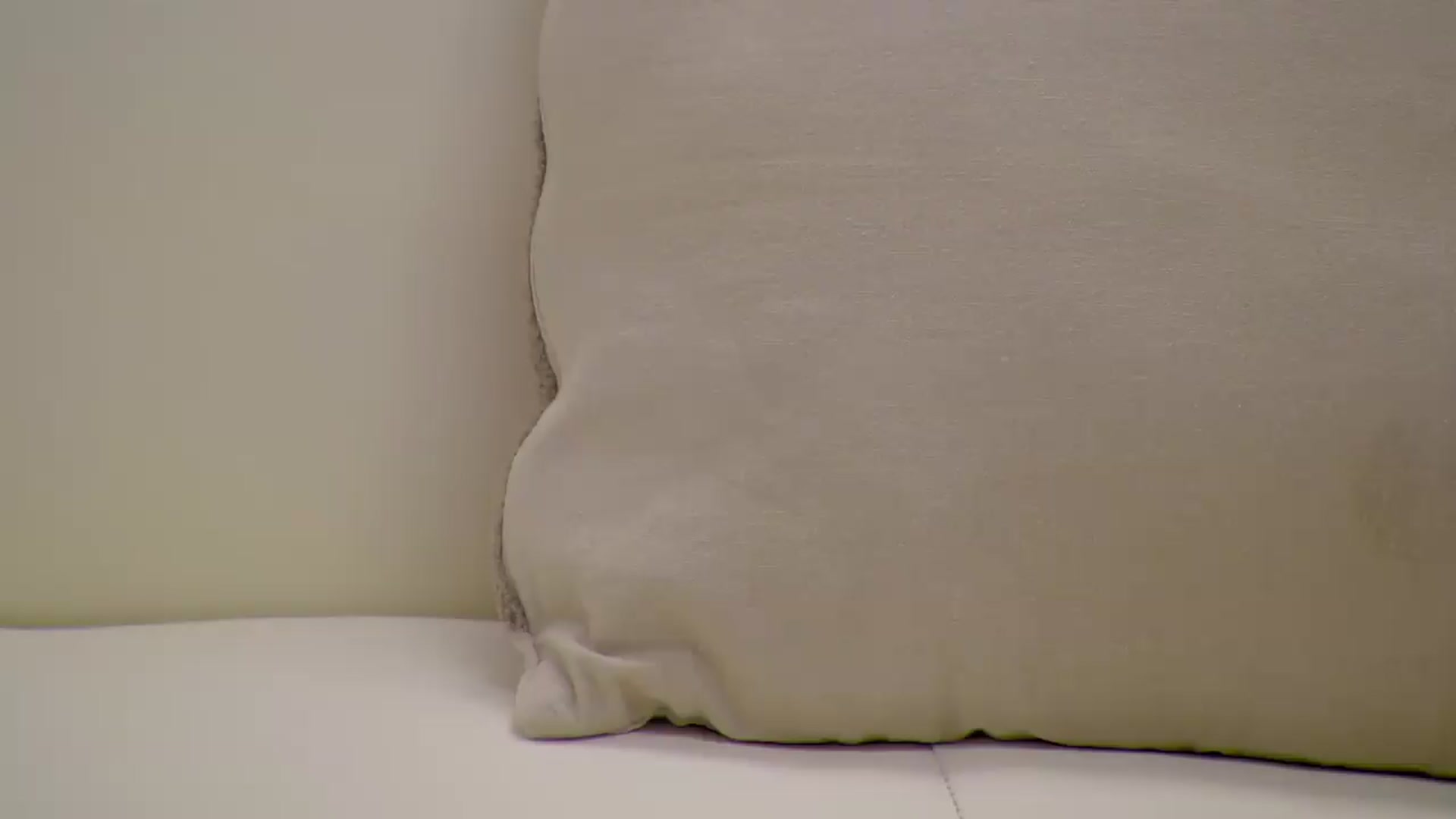 Squirrel_MFC video thumbnail