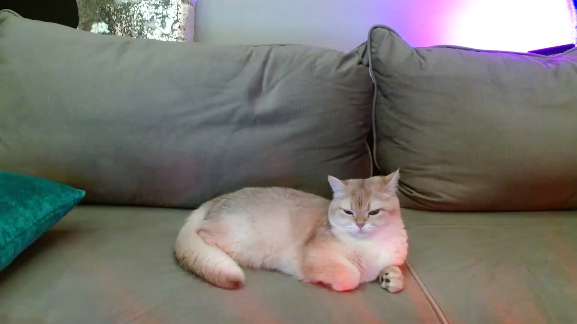 UGLYGIRL_ video thumbnail