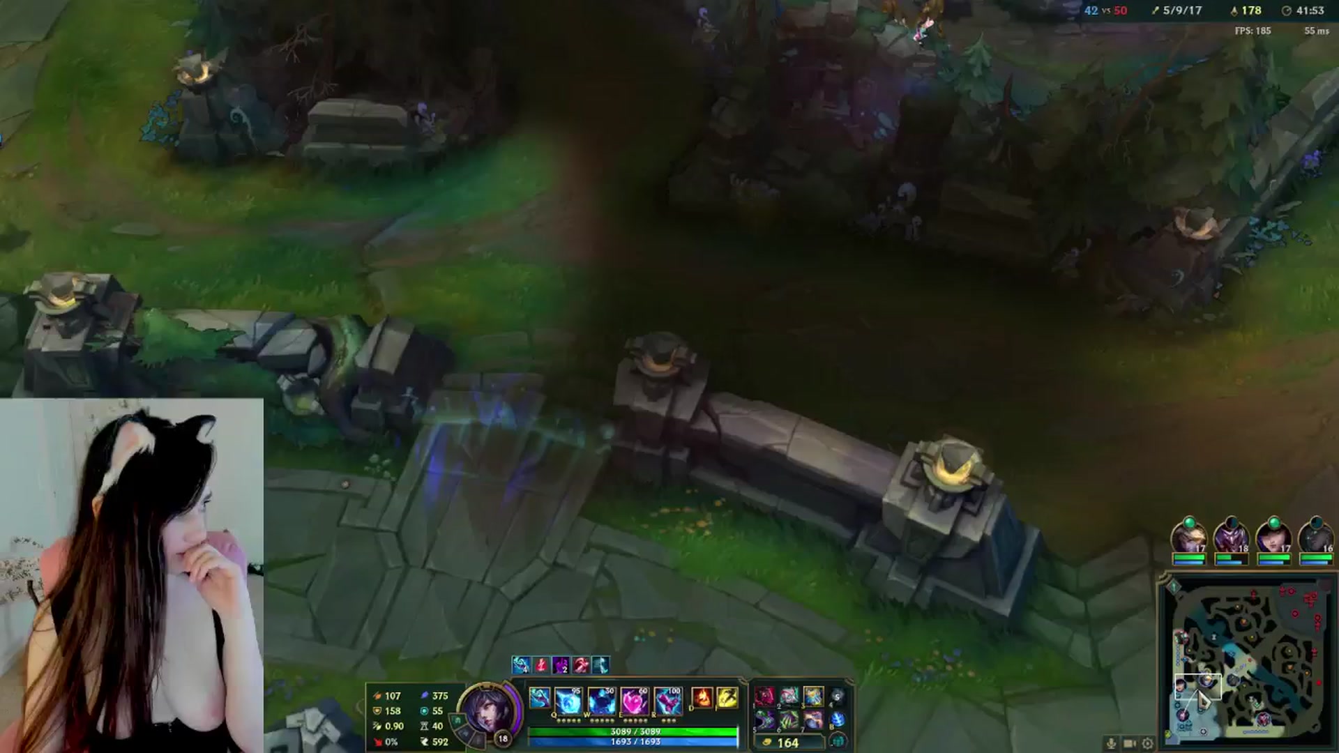 Kitty video thumbnail
