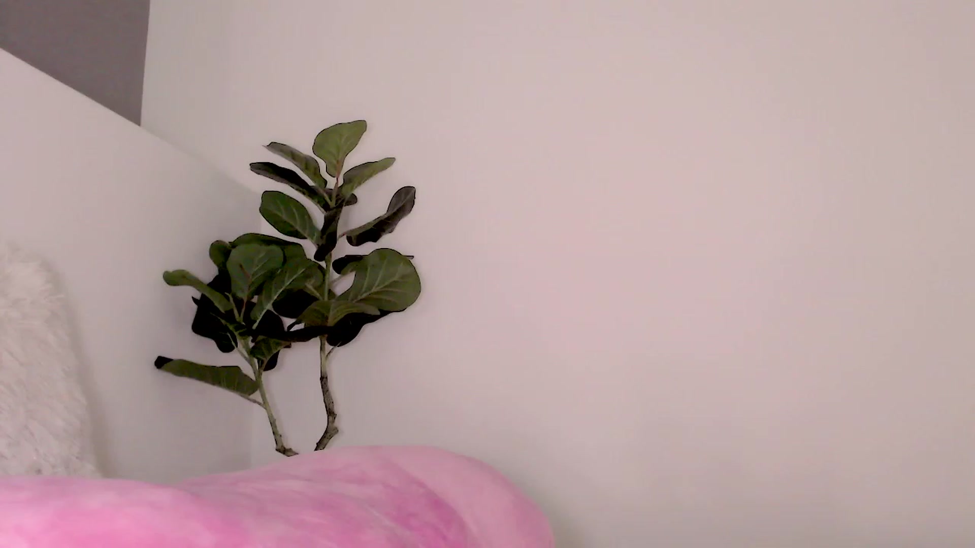 Ms_Brenda video thumbnail