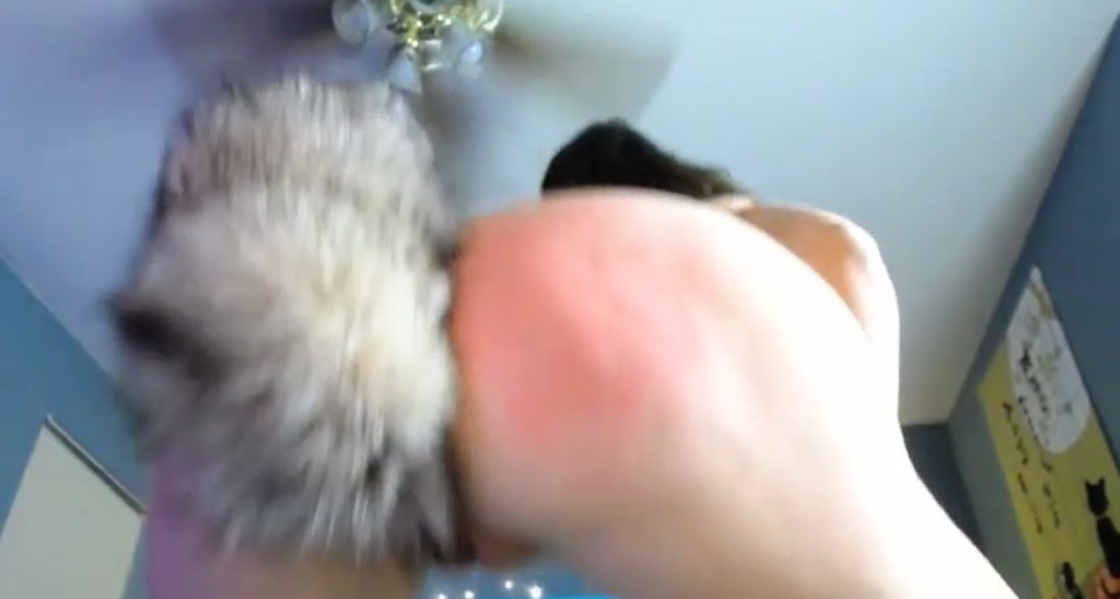 CoraBorealis video thumbnail