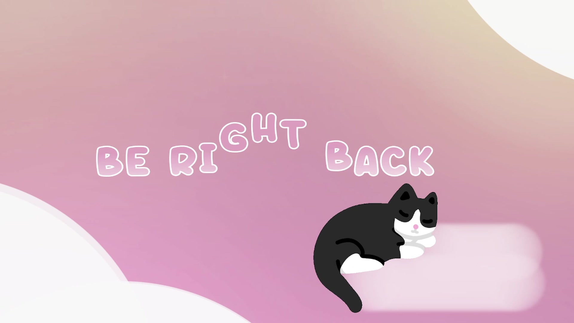Kitty video thumbnail