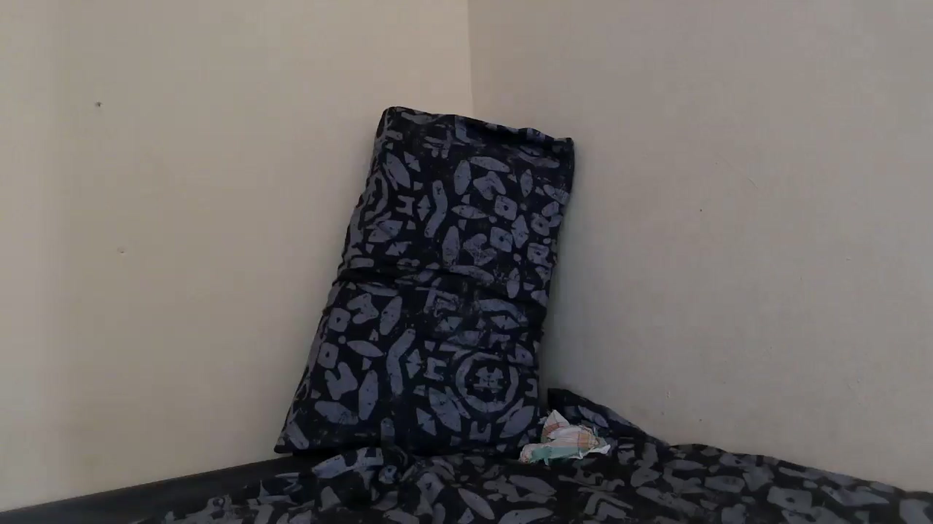 Petitex video thumbnail