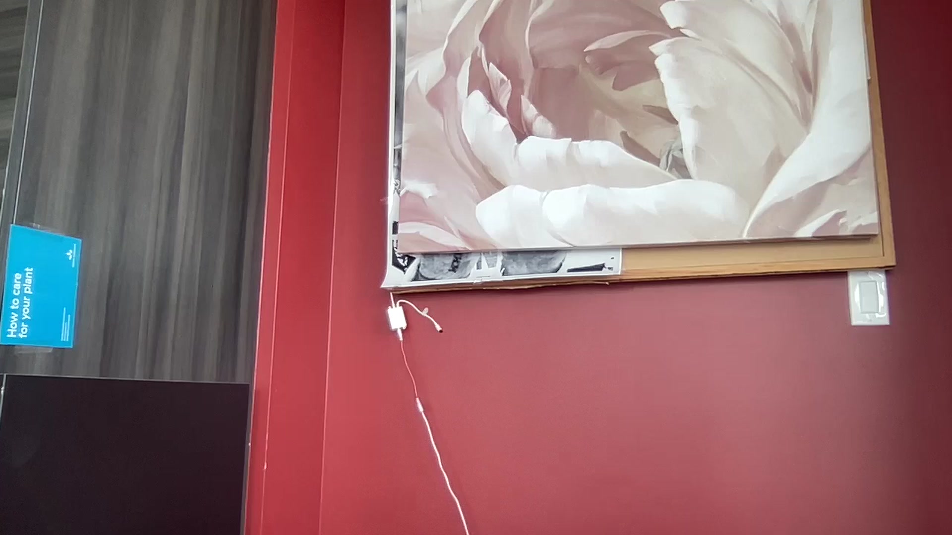 EmiliaBrooks video thumbnail