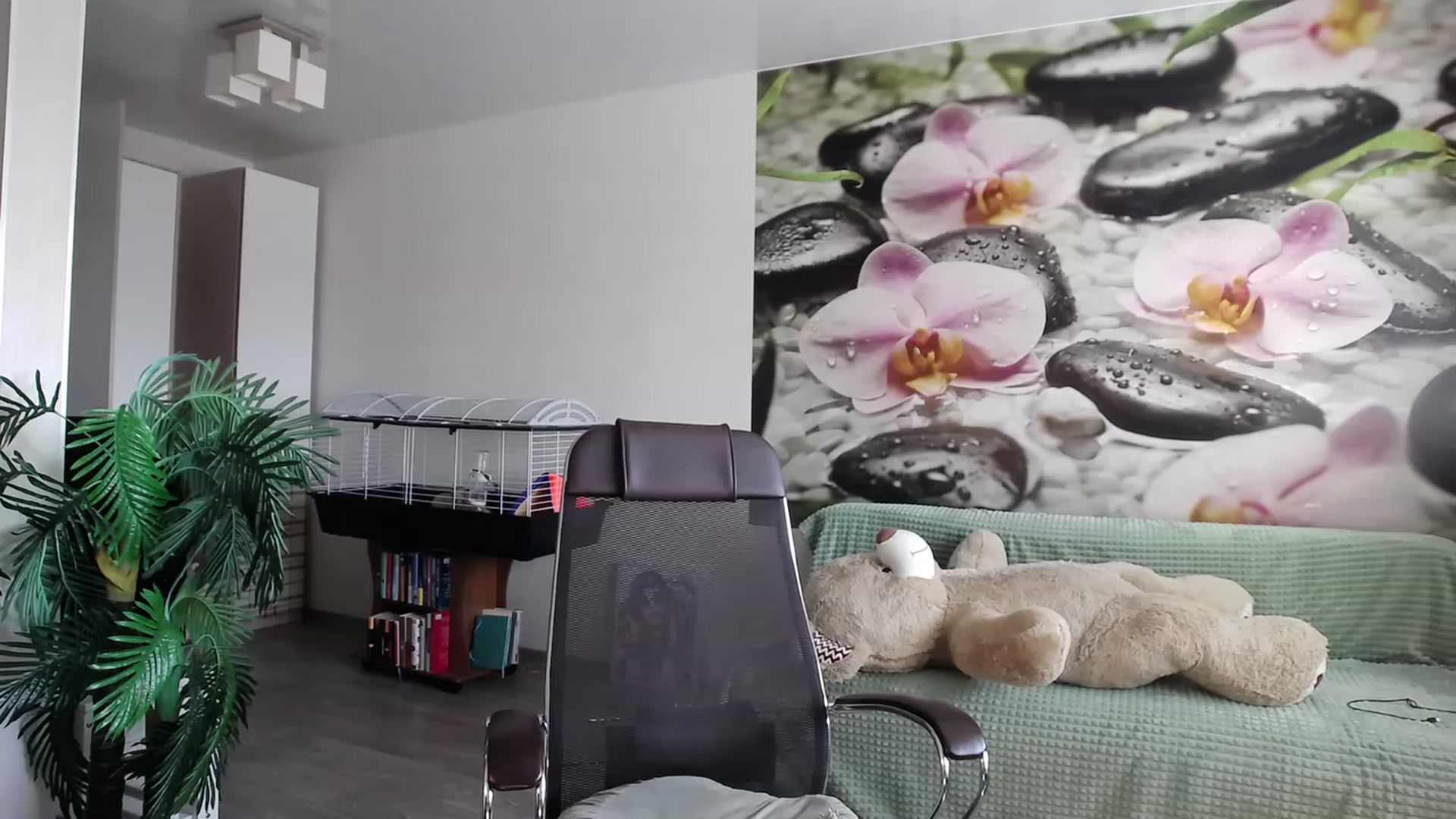 HoneyIAmHome video thumbnail