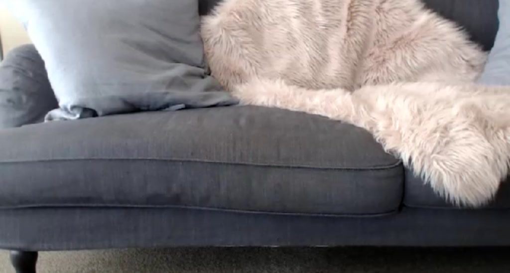 Bella_Ellah video thumbnail