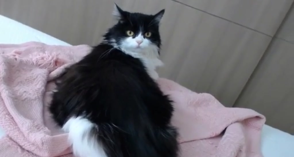 Sarita___ video thumbnail