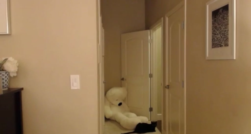 RavinTavin video thumbnail