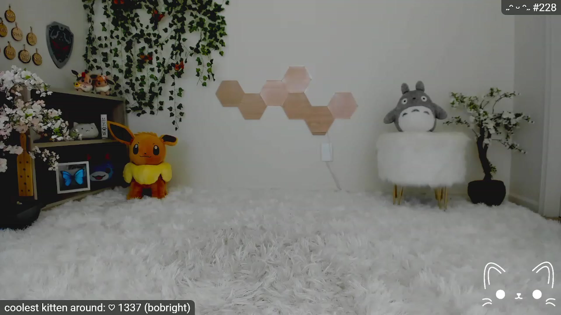 Kitty video thumbnail