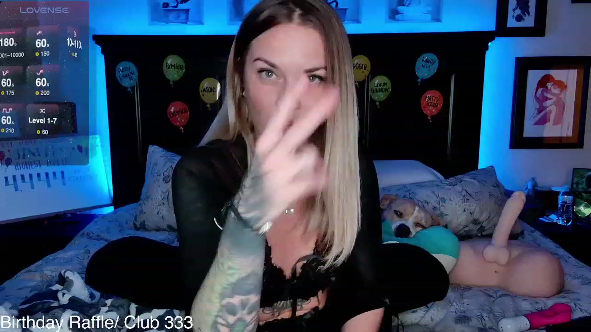 Rose_Kitten video thumbnail