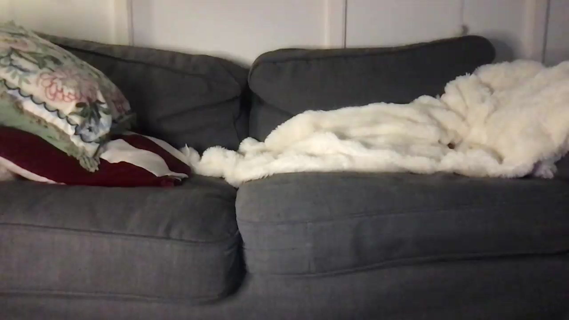 Laceyjames24 video thumbnail