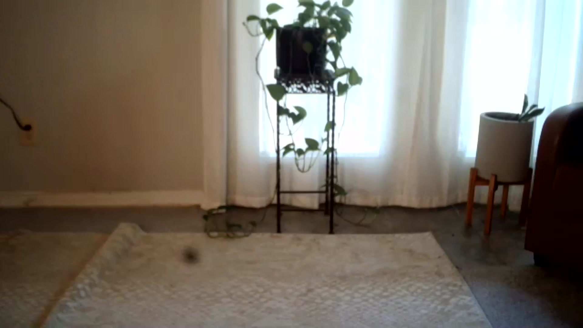 Dollbabie2211 video thumbnail