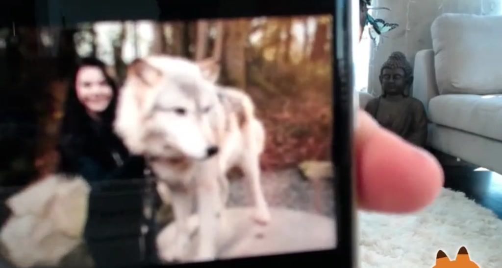 ZiaFox video thumbnail