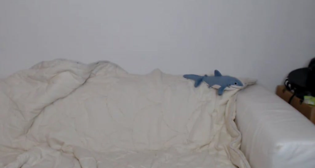 Reinys video thumbnail